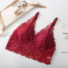 Lace Sexy Lingerie Wireless Bra For Women - Image 8