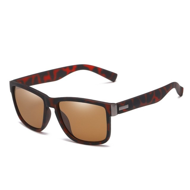 Polaroid Sunglasses For Women - Image 9